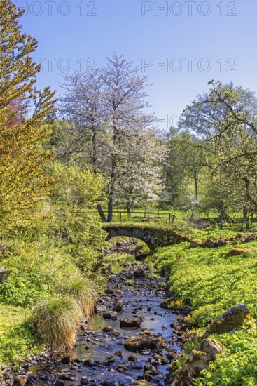 Beautiful spring landscape featuring a small stone arch bridge crossing a shallow clear stream surrounded by rocks fresh lush green vegetation and blooming treesa sunny spring day, Sweden