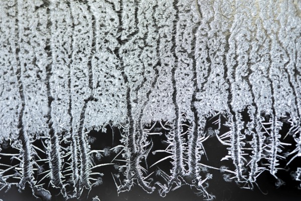 Frost formation on a living room window, Region of la Mauricie, Province of Quebec, Canada