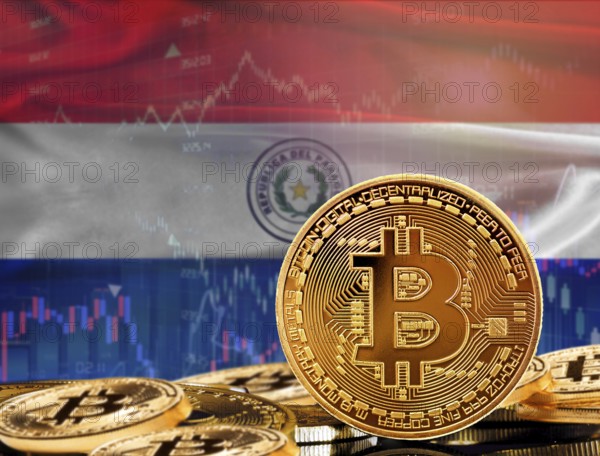 Investors in cryptocurrency and Blockchain Technology in Paraguay, Concept. Bitcoin with Paraguay flag in the background