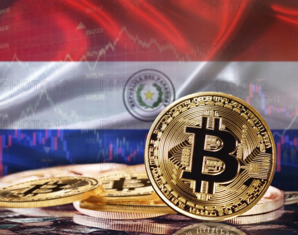 Bitcoin with Paraguay flag in the background. Paraguayan investors in cryptocurrency and Blockchain Technology in Paraguay, Concept