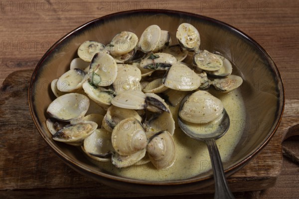 Vongole clams, in cream sauce, homemade, top view, no people