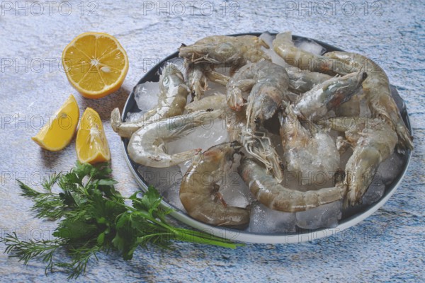 Fresh raw shrimp, spread on ice with lemon and cilantro slices on a marble surface, ready to cook, no people