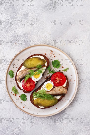 Sandwiches on rye bread, with sprats, quail eggs, fresh tomatoes and pickled cucumber, appetizer, breakfast, homemade