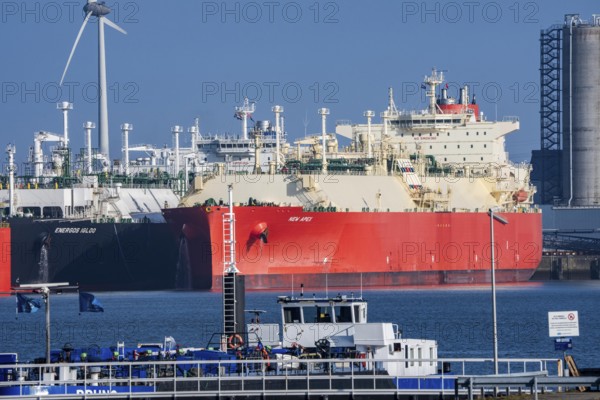 Liquefied gas terminal, so-called FRSU's, floating storage regasification units, factory ship Eemshaven LNG left and Golar Igloo, shipping company New Fortress Energy, next to the LNG tanker New Apex, this LNG terminal, called EemsEnergy Terminal, returns the liquefied natural gas to a gaseous state and feeds it into the Gasunie pipeline network and thus into the consumer network, Eemshaven, The Netherlands