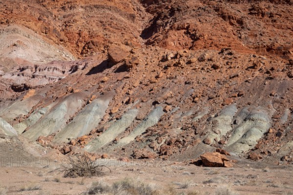 Lee's Ferry, Arizona - Rock formations at Lee's Ferry on the Colorado River at the north end of the Grand Canyon