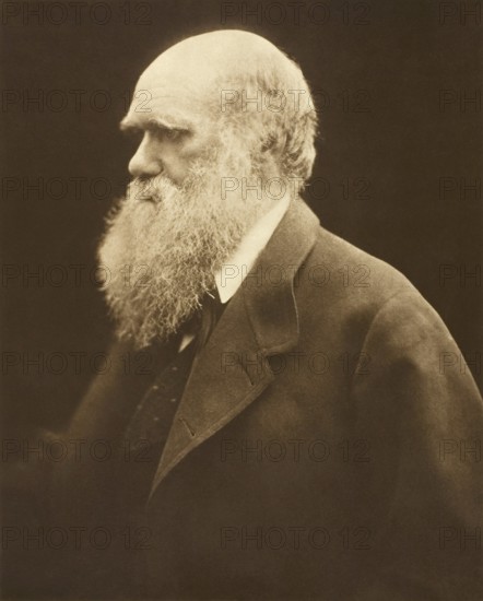Charles Robert Darwin (12 February 1809 in Shrewsbury - 19 April 1882) . British natural scientist. Portrait from 1868. His theory of evolution, which has since been confirmed by genetics, makes him one of the most important natural scientists of all time. His most famous works are: 'On the Origin of Species' and 'The Descent of Man and Sexual Selection'. Darwin was also the first to explain how coral reefs are formed. Great Britain