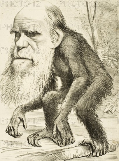 Charles Robert Darwin (12 February 1809 in Shrewsbury - 19 April 1882) . British natural scientist. Caricature of Darwin as a monkey from 1871. His theory of evolution, which has since been confirmed by genetics, makes him one of the most important natural scientists of all time. His most famous works are: 'On the Origin of Species' and 'The Descent of Man and Sexual Selection'. Darwin was also the first to explain how coral reefs are formed. Great Britain