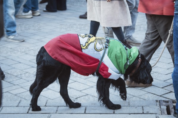 A dog wrapped in a flag of Iran during the Pahlavi period during the demonstration by exiled Iranians under the slogan Freedom for Iran led by Prince Reza Pahlavi in Berlin, Brandenburg Gate on 01.03.2026. The reason for the meeting is the joint attack by Iran by Israel and the USA and the resulting death of the previous leader Ali Khamenei
