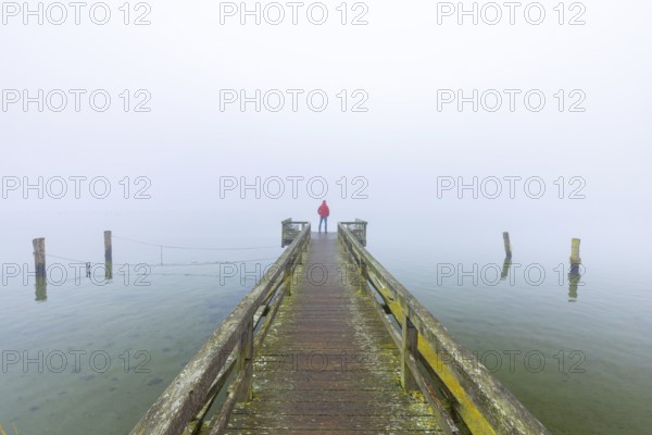 Lonely man staring in the mist over Lake Ratzeburg, Ratzeburger See from wooden jetty, Lauenburg Lakes Nature Park, Schleswig-Holstein, Germany. Model released