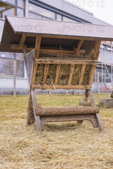Wooden hay rack stands in a meadow with some haystalks, Schlehengäu Grund Schule Gechingen, Calw district, Germany