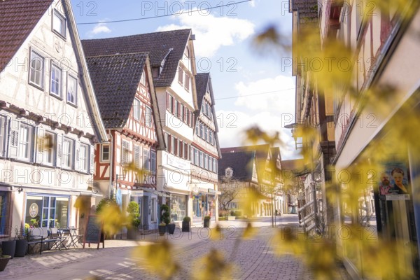Traditional street with half-timbered houses, blurred flowers in the foreground and sky, Calw district, Germany