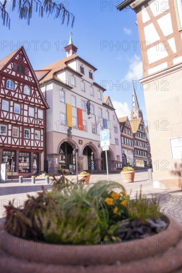 City center with half-timbered houses and flowers in bright skies, Calw, Calw district, Germany