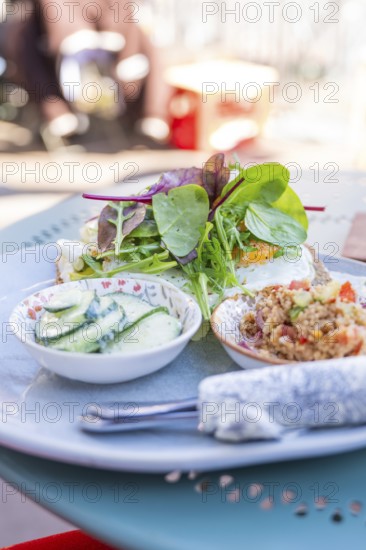 Fresh lunch with salad, quinoa and cucumber on an outdoor blue plate, Calw, Calw district, Germany