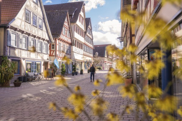 Man walks through a quiet street with traditional half-timbered houses and flowery foreground, Calw, Calw district, Germany