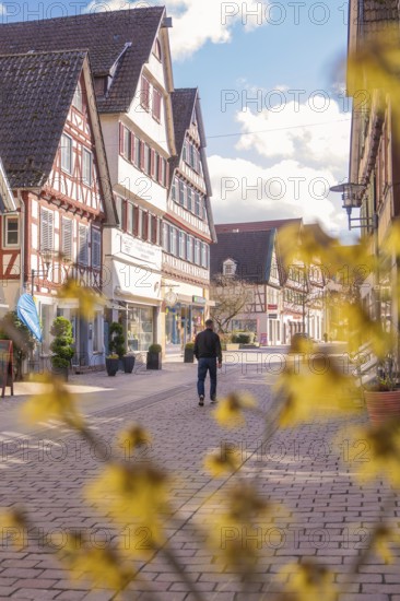 Idyllic old town street with half-timbered houses and spring-like weather, Calw district, Germany
