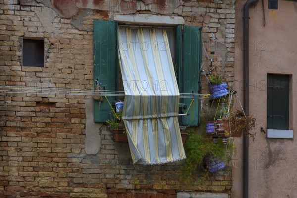 Window with flowers and curtain of a residential building in the old town, Venice, Veneto, Italy