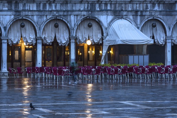 Historic Caffé Florian early in the morning, empty St. Mark's Square when it rains, Venice, Veneto, Italy