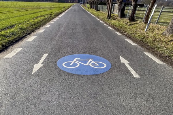 Large marking on narrow district road country road in rural area painted symbol for road signs 244.1-40 beginning end of a bicycle road, next to it direction arrows for in both directions of travel, Germany