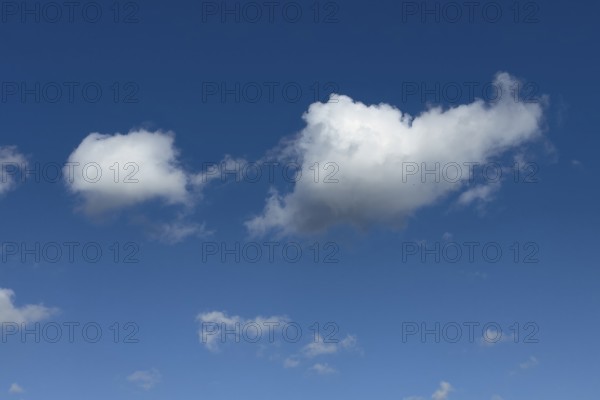 Medium-high white clouds Cumulus fractus torn ragged cluster clouds without a sharp lower limit on blue sky, international