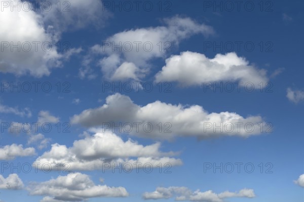 In the upper half of the image, medium-height white clouds Cumulus fractus torn ragged cluster clouds without a sharp lower limit on a blue sky, in the background below classic low clouds cluster clouds typical cumulus with a clear lower limit on blue sky, international