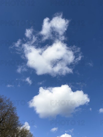 Medium-high white clouds Cumulus fractus torn ragged cluster clouds without a sharp lower limit on blue sky, international