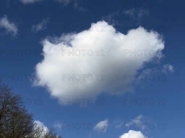 Medium-high white cloud Cumulus fractus torn ragged cluster cloud without sharp lower limit on blue sky, international