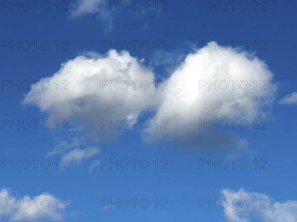 Two medium-high white clouds Cumulus fractus torn ragged cluster clouds without a sharp lower limit on a blue sky, international