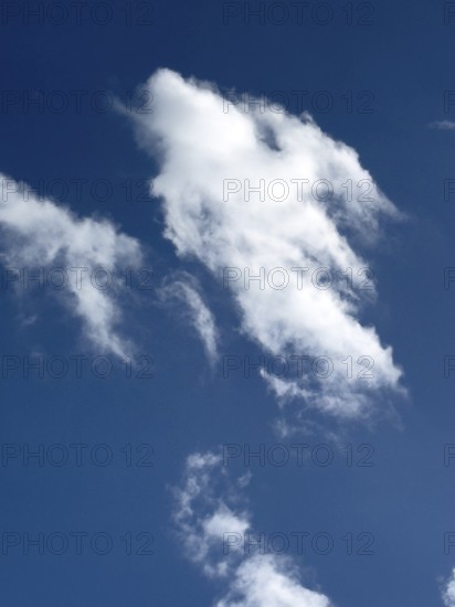 White torn frayed cloud Cumulus fractus cloud image like mythical creature with angel wings, international