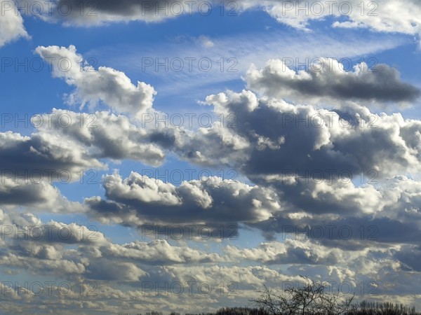 Large cloud field of elongated Stratocumulus in front of a blue sky, international
