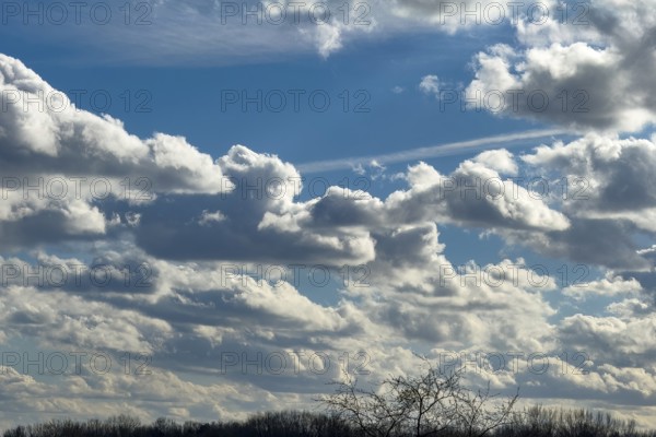 Accumulation of different cumulus clouds, cumulus fractus at the very top, classic cumulus with a sharp lower limit below in the background elongated stratocumulus against a blue sky, international