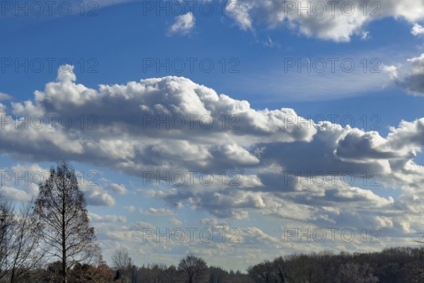 Elongated stratocumulus against a blue sky, international