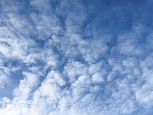 Medium-height white clouds of Altocumulus in blue sky, international