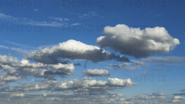 Cloud field of elongated Stratocumulus in front of a blue sky, international