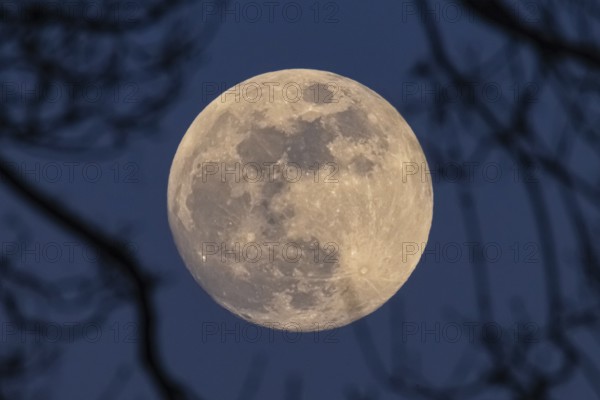 The full moon in March is also called worm moon because it reminds us that the frost is softening and the soil is beginning to live again, Frankfurt am Main, Hesse, Germany