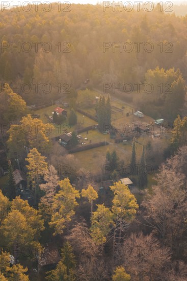 Cabins nestled in a forest displaying vivid autumn colors at Dusk, Aidlingen, Böblingen District, Germany
