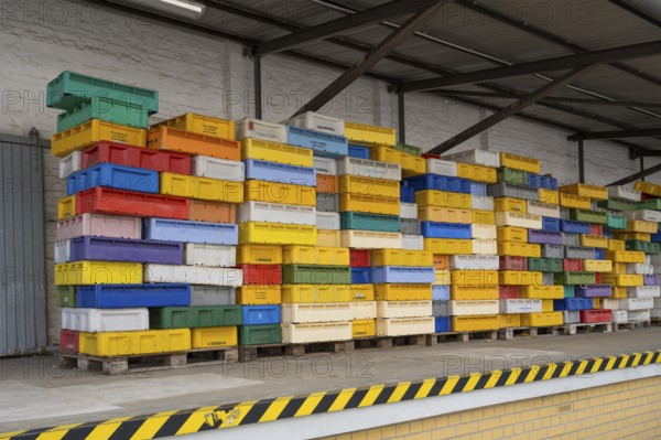 Numerous colored containers are stacked at a warehouse, Sassnitz, Rügen, Insel, Baltic Sea, Mecklenburg-Western Pomerania, Germany