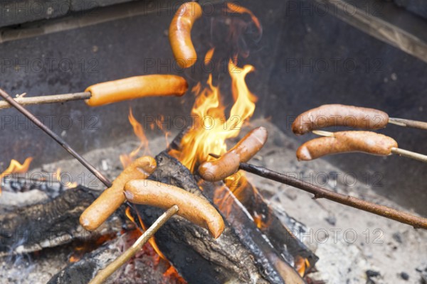 Sausages on skewers are prepared over fire, Virum Älkpark near Vimmerby, Kalmar län, Sweden