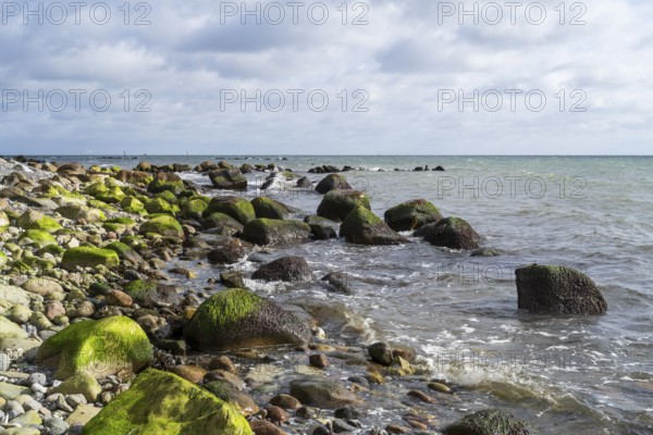 Foundlings on Gakower Ufer, Sassnitz, Jasmund National Park, Rügen, island, Baltic Sea, Mecklenburg-Western Pomerania, Germany