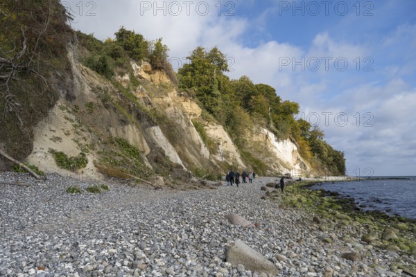 Chalk coast, cliffs, stones on the shore, Jasmund National Park, Sassnitz, Rügen, island, Baltic Sea, Mecklenburg-Western Pomerania, Germany