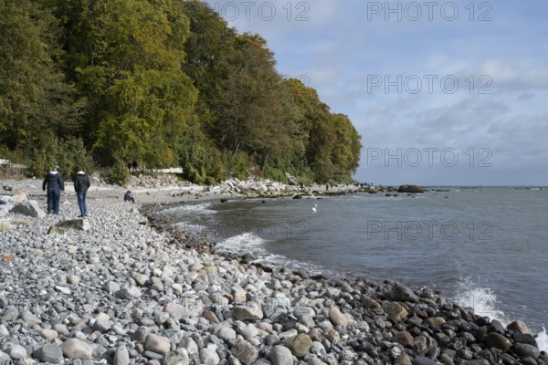 Coast near Sassnitz, stones on the shore, Jasmund National Park, Rügen, island, Baltic Sea, Mecklenburg-Western Pomerania, Germany