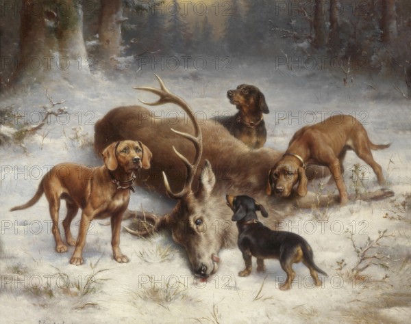 Carl Reichert, Karl Reichert, pseudonym J. Hartung (born 27 August 1836 in Vienna, died 5 April 1918 in Graz) . Austrian painter, especially landscape painter and animal painter. Here his work:, Welding dogs with a shot stag (1902), Group of dogs next to a dead stag in a snowy forest landscape after the hunt, Painting, Reproduction of the painting, Work of art, Historical