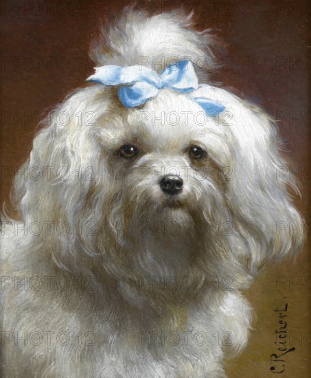 Carl Reichert, Karl Reichert, pseudonym J. Hartung (born 27 August 1836 in Vienna, died 5 April 1918 in Graz) . Austrian painter, especially landscape painter and animal painter. Here his work:, The blue bow, Portrait of a white dog, probably a Maltese, wearing a distinctive light blue bow in its hair, Painting, Reproduction of the painting, Work of art, Historical