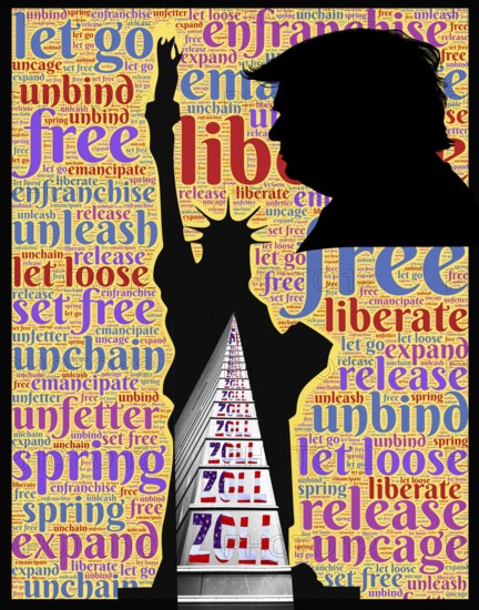 Symbolic image, Statue of Liberty and Trump in customs mania, Trump and Maga movement as a threat to US democracy, global danger, climate change and nature are fake news, Bitcoin king, kleptocracy, price development, Bitcoin questionable due to extreme energy requirements, stock exchange prices, uncertain digital currency, resources, energy, industry, economy critical, stock market hype, stock market crash, payment, insolvency, wrong decisions, maximum profit, profit break, share prices, location Germany, world economy, globalization, environmental protection, mafia, Trump government, Bitcoin rally, cryptocurrency, electronic wallet wallet, crypto reserve, stock exchange trading, gold replacement currency