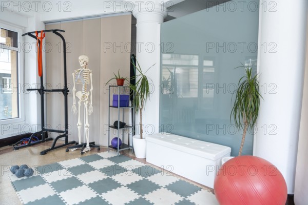 Professional physiotherapy and osteopathy clinic space providing medical recovery, rehabilitation, and sports therapy, featuring a human skeleton model, exercise equipment, and a large fitness ball