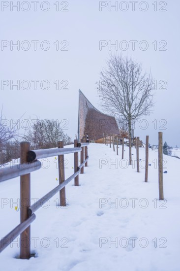 Snowy trail with wooden fence and lonely tree in winter, Sinnraum, Oberreute, Allgäu, Bavaria, Germany