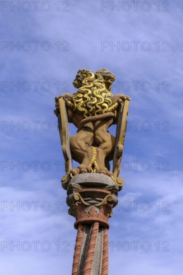 Löwenbrunnen, Münsterplatz, Ulm, Baden-Württemberg, Germany