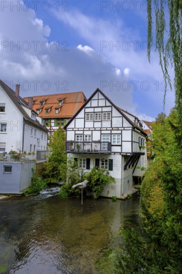 Ulmer Spatz, Fischerviertel, Ulm, Baden-Württemberg, Germany