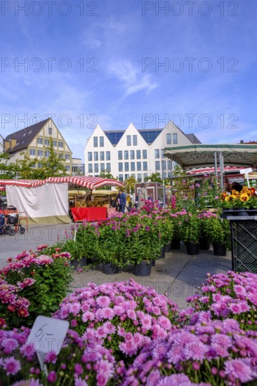 Münsterplatz, Ulm, Baden-Württemberg, Germany