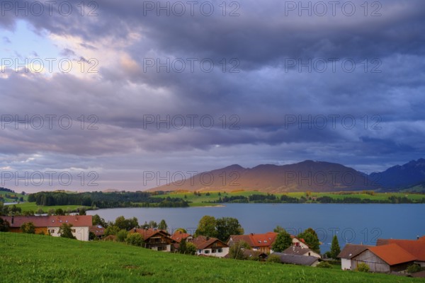 Forggensee, bei Dietringen, Ostallgäu, Swabia, Bavaria, Germany