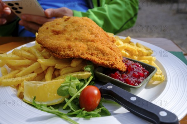 Wiener Schnitzel mit Pommes, Food, Klosterwirt, Höglwörth, Höglwörther See, Rupertiwinkl, Upper Bavaria, Bavaria, Germany